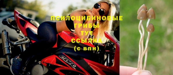 хмурый Алексеевка