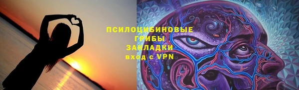 хмурый Алексеевка