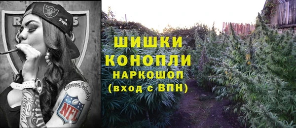 прущая мука Алзамай