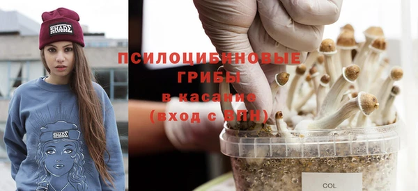 прущая мука Алзамай