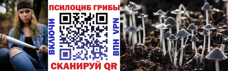 Псилоцибиновые грибы MAGIC MUSHROOMS  Байкальск 